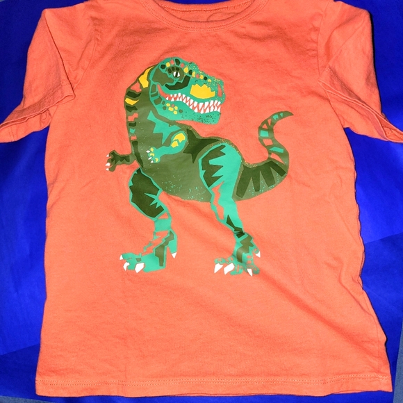 Dinosaur t-shirt 5T